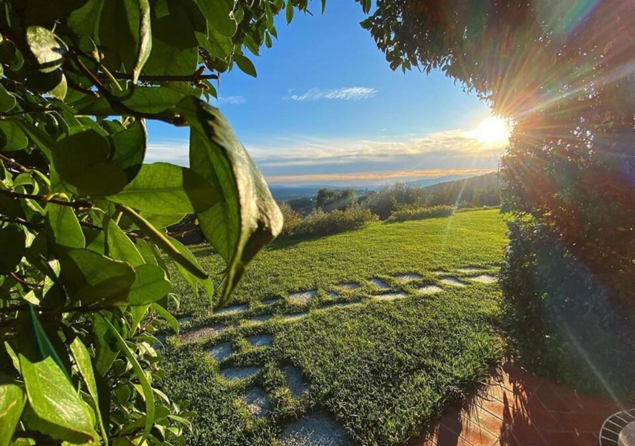 Podere Raffanna Ecologic House Massa e Cozzile ภายนอก รูปภาพ